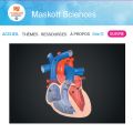 Maskott Sciences - SVT, Physique-Chimie, Technologie